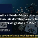 usar benefícios governamentais para reduzir orçamento familiar — Guia completo 2026